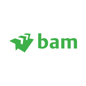 BAM logo