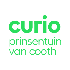 Curio prinsentuin van cooth
