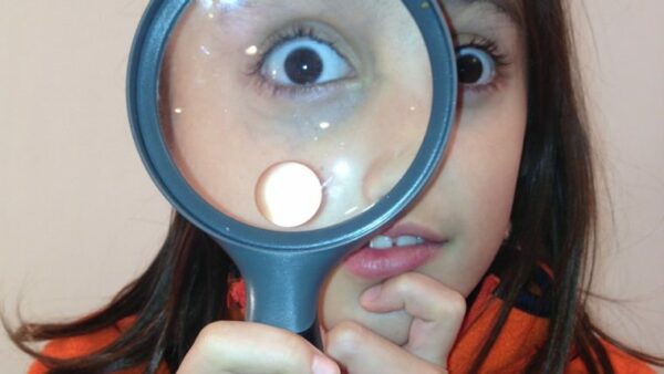 Raad van Toezicht foto